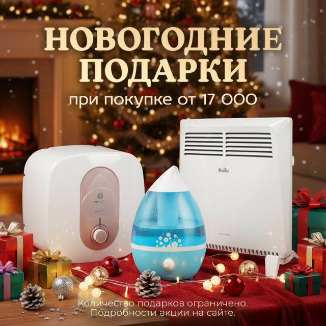 Новогодняя акция 2026